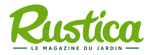 Medienlogo